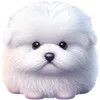 Benji logo