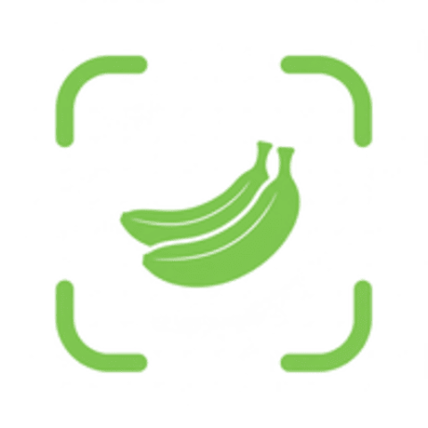 CalVault - AI Calorie Tracker logo