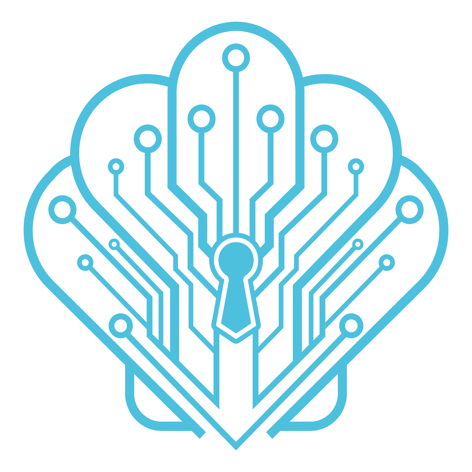 Digital Shell logo