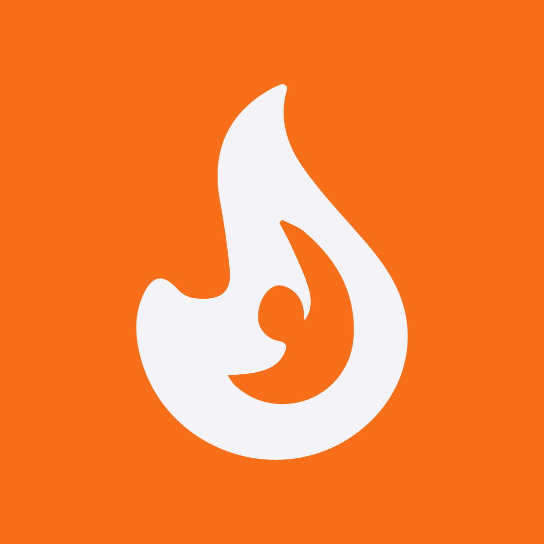 Flaem logo