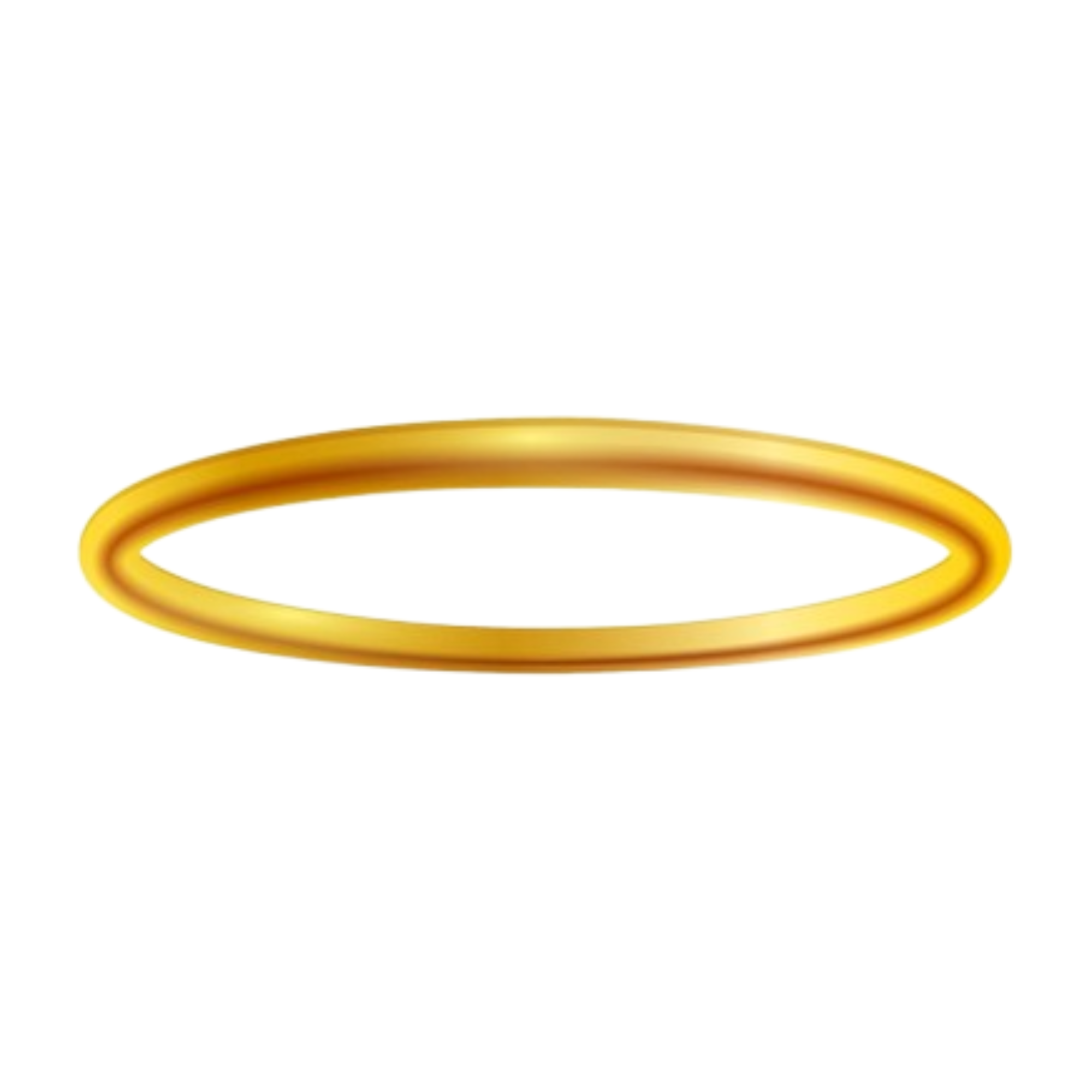 Holypoly logo