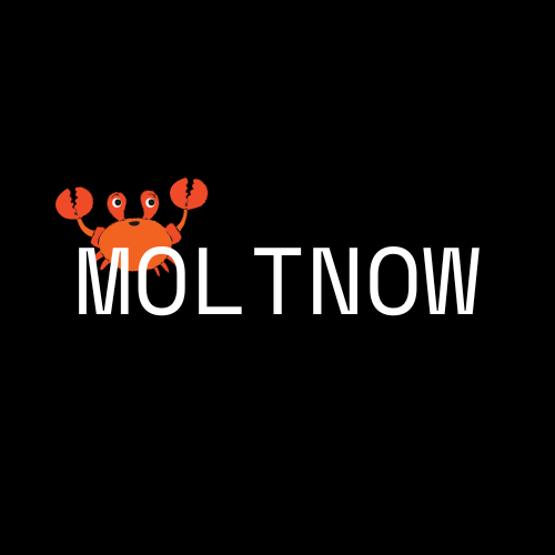 Moltnow logo
