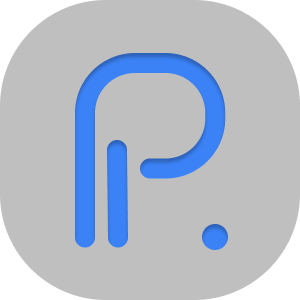 PayPing logo