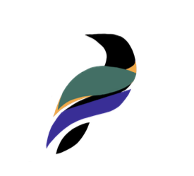 Pluma logo