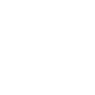 ThinkPok logo