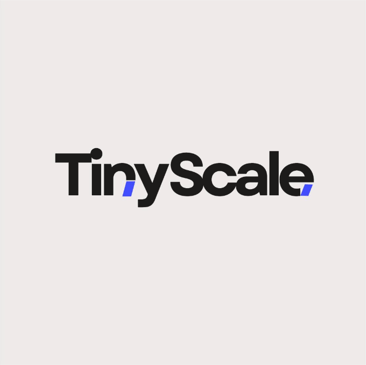 tinyScale AI logo