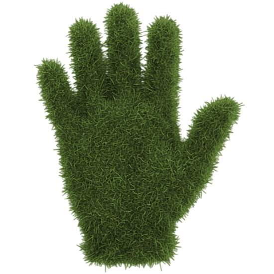 Touch Grass Store logo