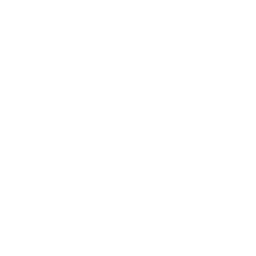 ViksaAI logo