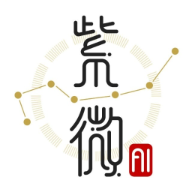 ZiWei AI - ç´«å¾®AI logo
